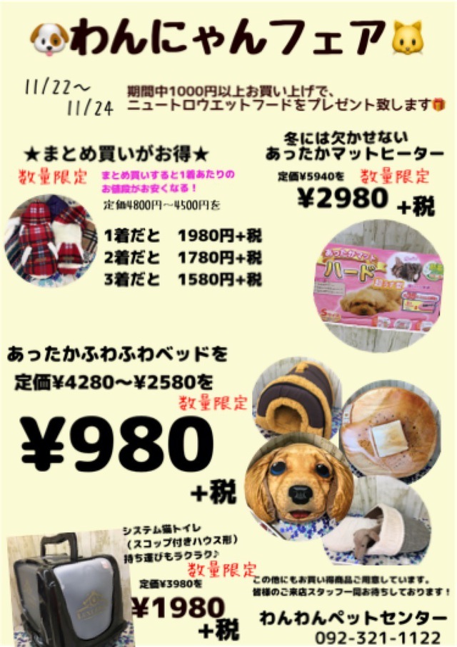 ピックアップ わんわんペットセンター | 4ページ目 | 唐津ケンネル｜犬